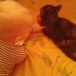 dziecko chowane z kotami…