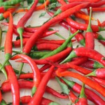 Jak uzyskać nasiona z papryczki chilli na kolejne wysianie?
