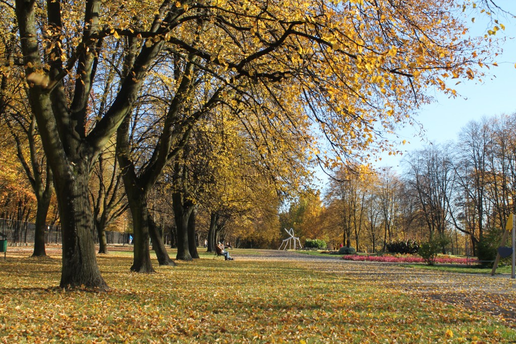Park Śląski - jesień - nasza drroga do