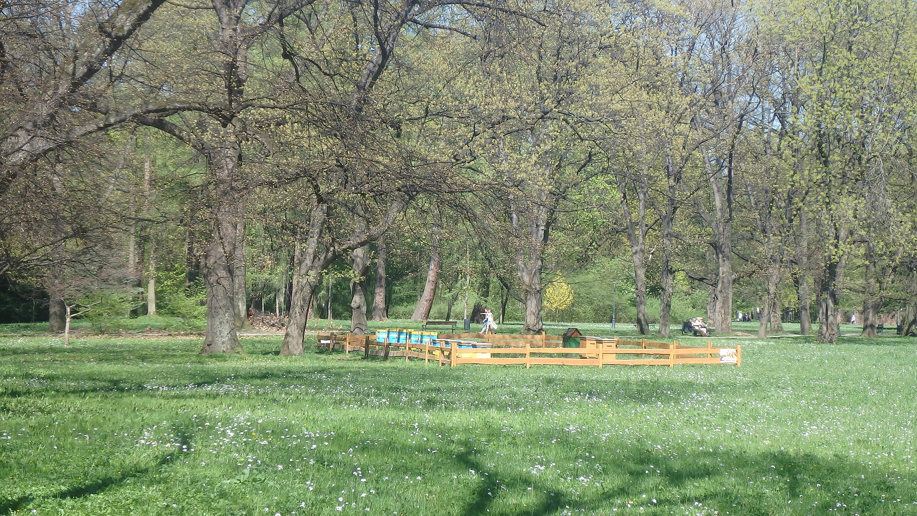Park Zamkowy
