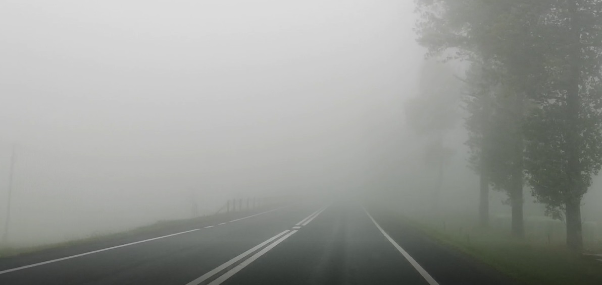 droga do Niedzicy we mgle